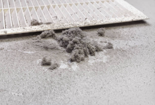 Best Air Duct Cleaning Company Near Me  in Vancleave, MS