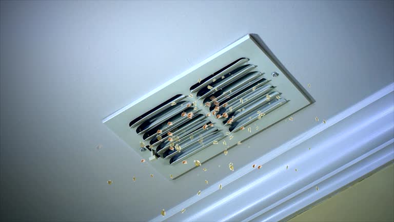 Best HVAC System Cleaning  in Vancleave, MS