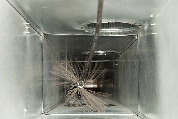 Best Professional Duct Cleaning Services  in Vancleave, MS