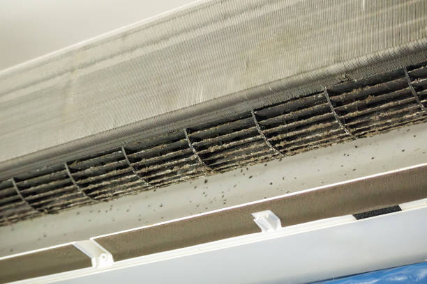 Best Affordable Duct Cleaning Services  in Vancleave, MS